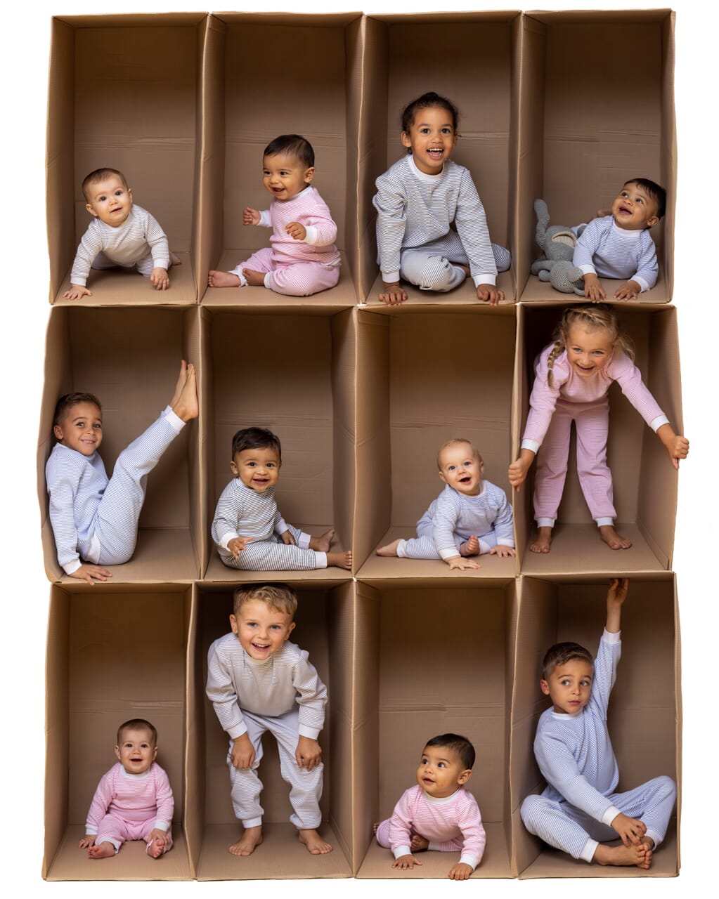 Iconic Jogger - Toddler Sizes - Special Offer