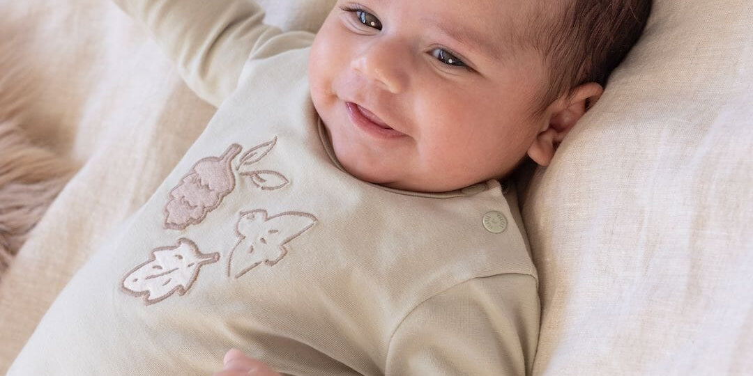 Fall Favorites - 25% Off!