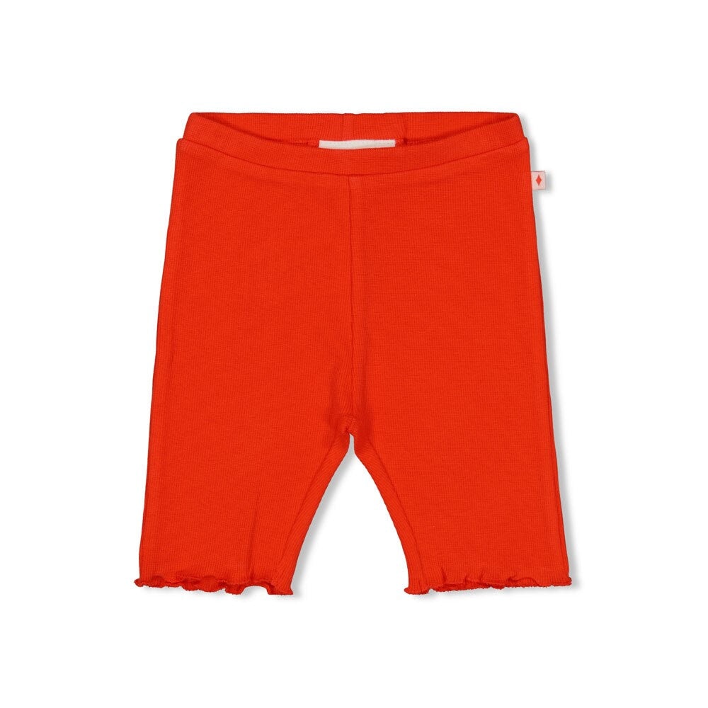 BERRY NICE Very Cool Ribbed Shorts