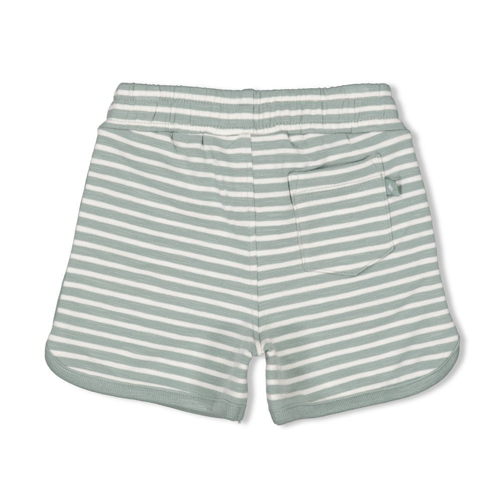 TURTELLY COOL - "cool turtle" French Terry Slub Yarn Stripe Shorts