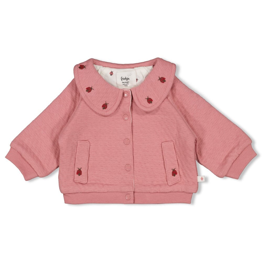 LADYBUG - Organic Cotton Stepped Double Fabric Jacket