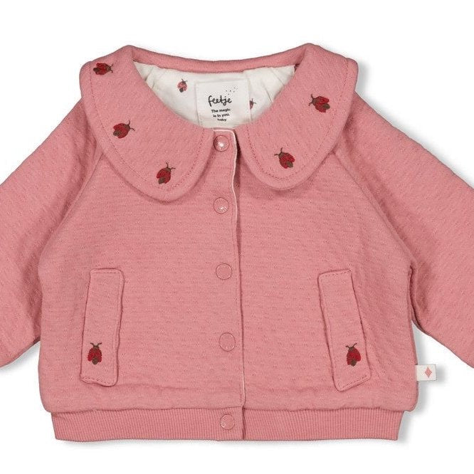 LADYBUG - Organic Cotton Stepped Double Fabric Jacket