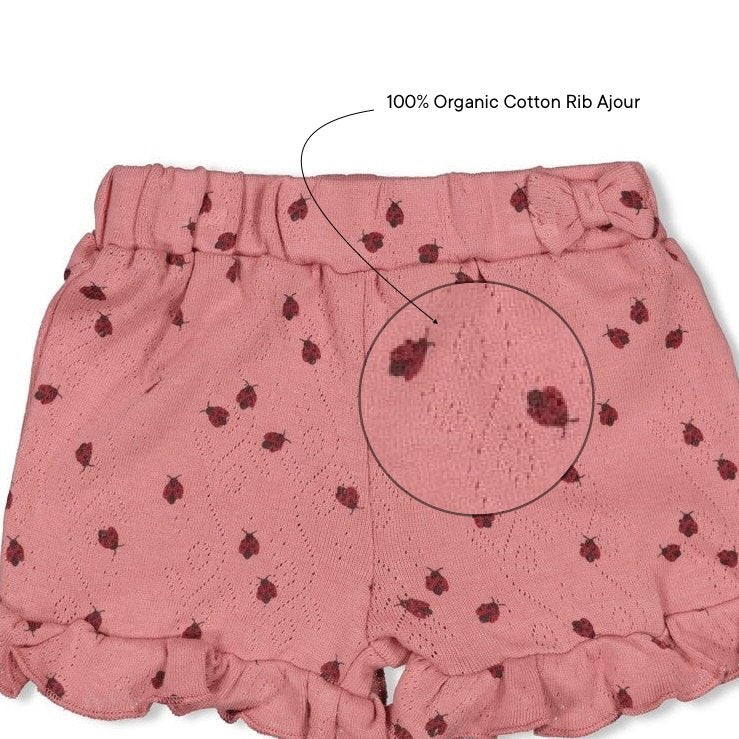 LADYBUG - Organic Cotton Rib Ajour Shorts