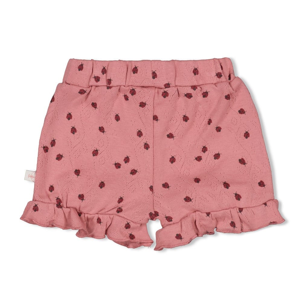 LADYBUG - Organic Cotton Rib Ajour Shorts
