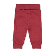 LADYBUG - Organic Cotton Fancy Knit Jersey Pants