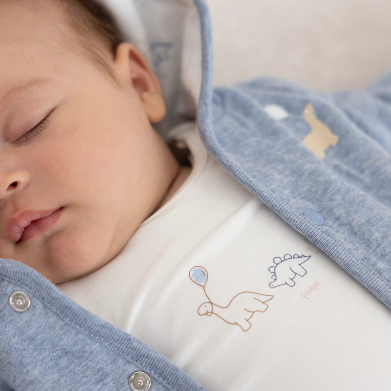 A-ROARABLE "Dinos with Blue Balloon" Top