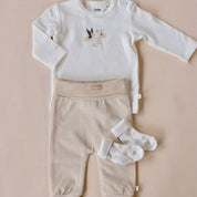 SPECIAL DELIVERY - Sweet Socks