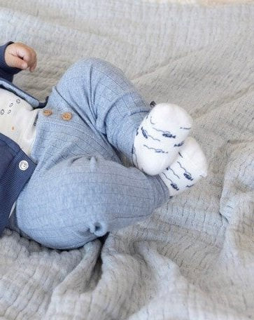 BLUE OCEAN - Organic Cotton Crew Socks