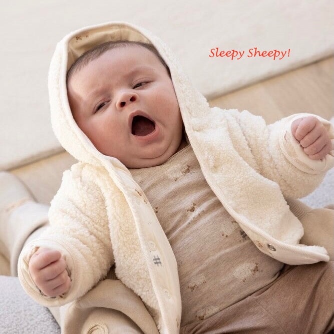 SLEEPY SHEEPY - Allover Print Peached Inside Jersey Fashion Top