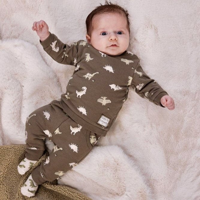 ROARSOME - Organic Cotton Dinosaur Peached French Terry Sweat Top