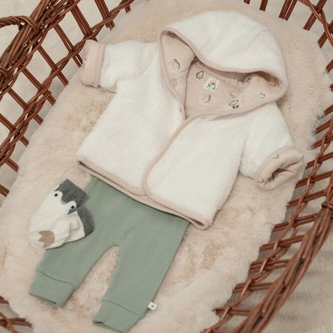 PENGUIN CUDDLES — Organic Cotton Rib Jersey Button-Front Fashion Pants