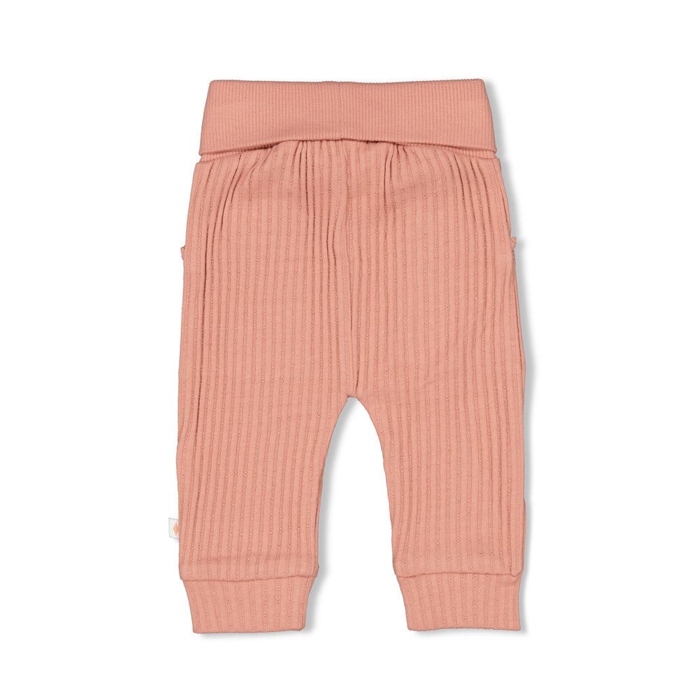 MORNING SUN - 5x5 Rib Ajour Knit Fashion Pants