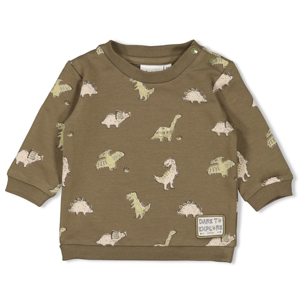 ROARSOME - Organic Cotton Dinosaur Peached French Terry Sweat Top