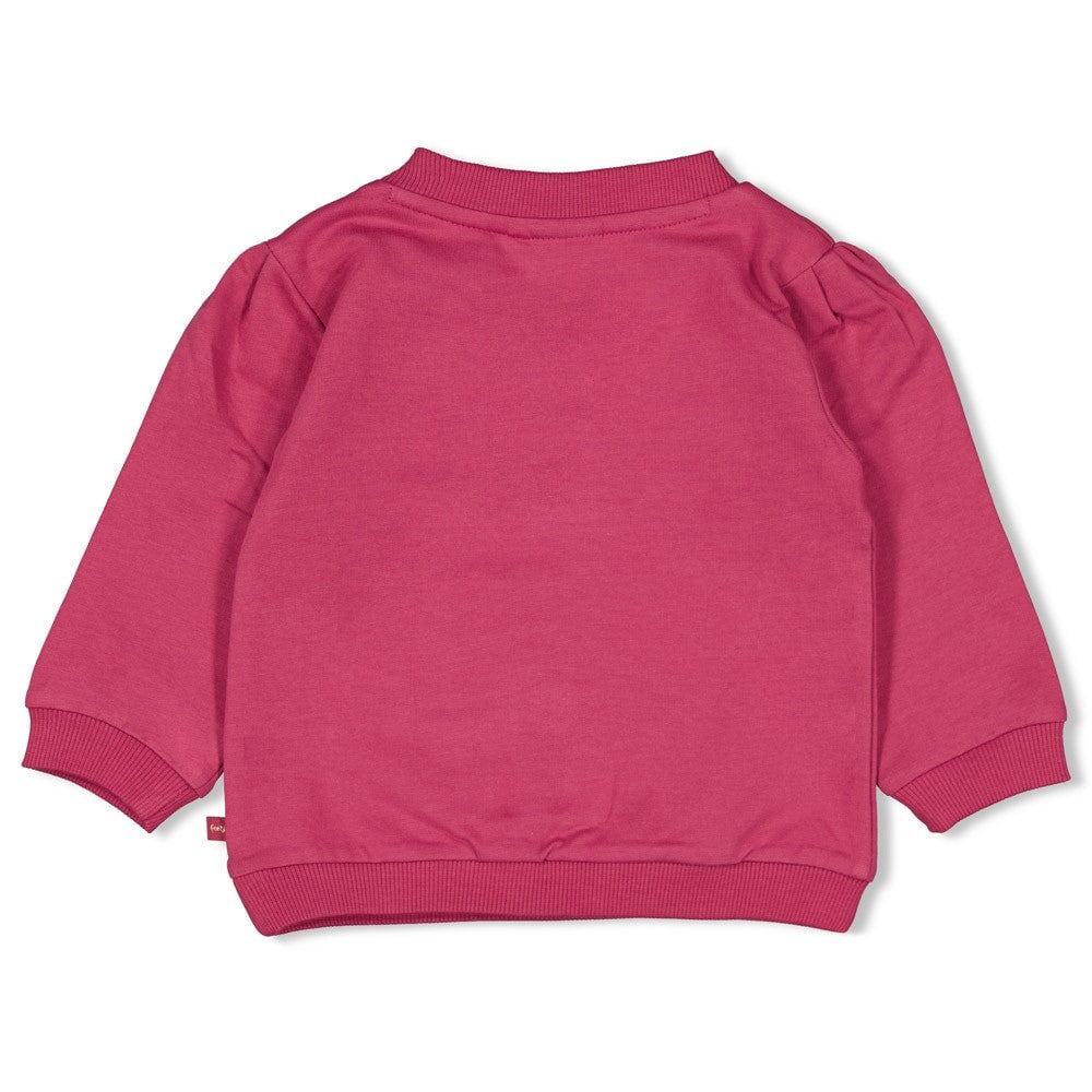 SHINE BRIGHT — Organic Cotton French Terry Dragonfly Sweat Top