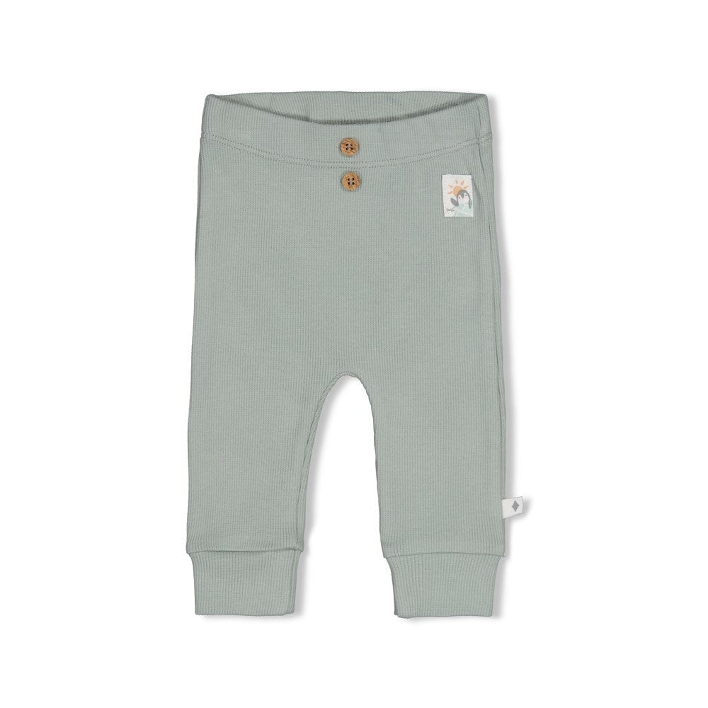 PENGUIN CUDDLES — Organic Cotton Rib Jersey Button-Front Fashion Pants