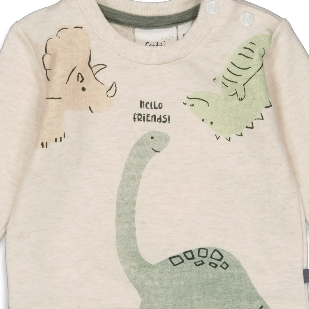 Cool-a-Saurus Favorite Dino French Terry Sweat Top